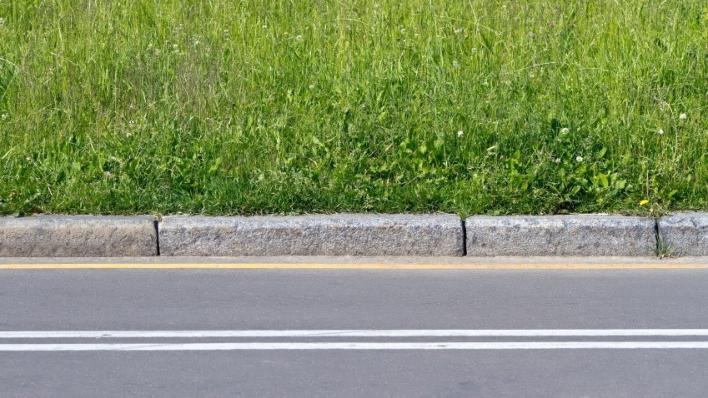 Grass on roadside verge