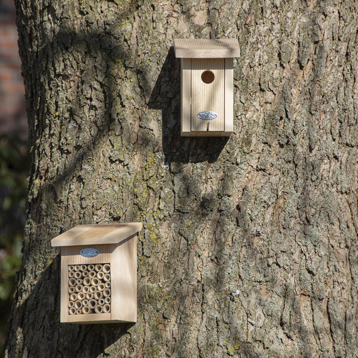 bird and insect homes