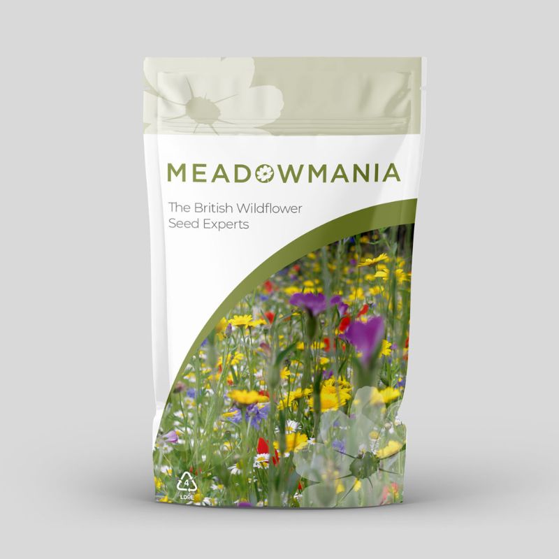 Packet of Wildflower Seed