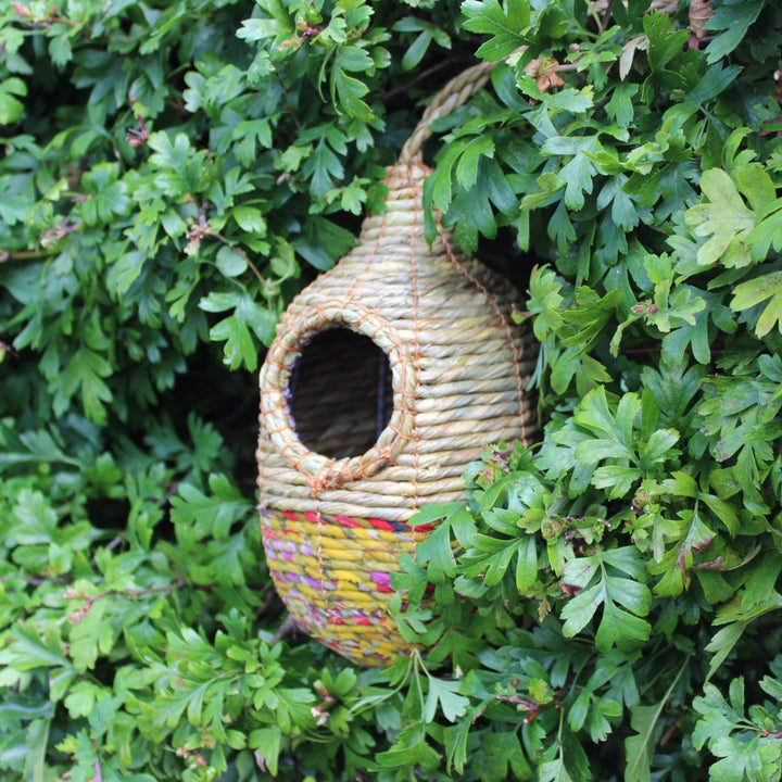 Artisan bird nest amongst hawthorn tree leaves
