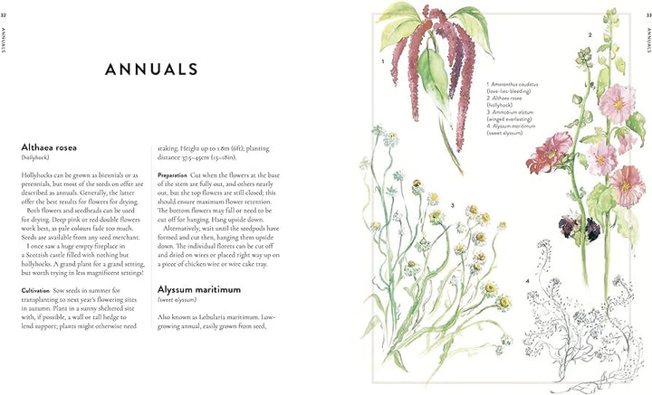 A page from 'Forever Flowers' book, with the title 'Annuals'
