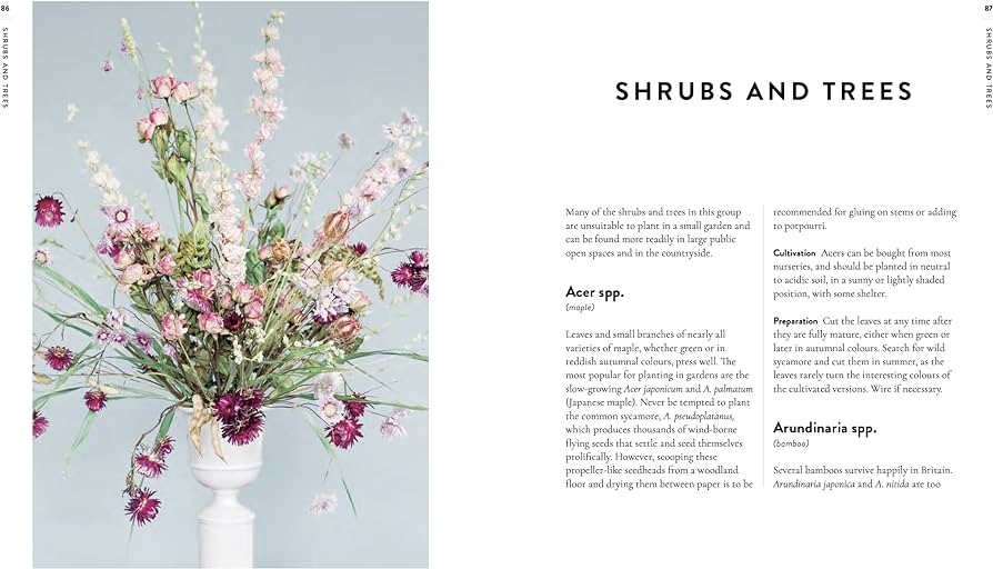 A page from 'Forever Flowers' with the title 'Shrubs and Trees'