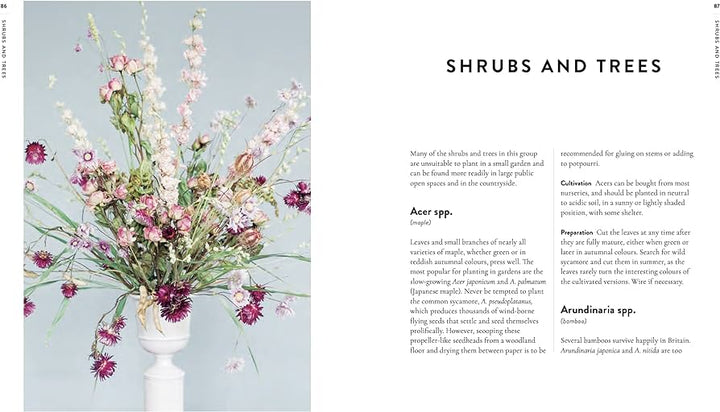 A page from 'Forever Flowers' with the title 'Shrubs and Trees'