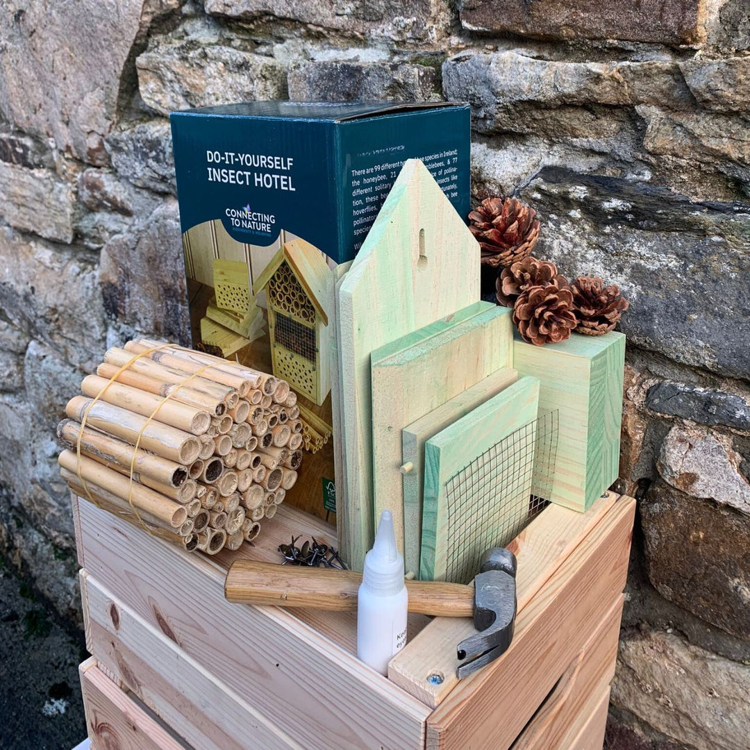 The box and contents of the pollinator house kit presented on an upturned crate