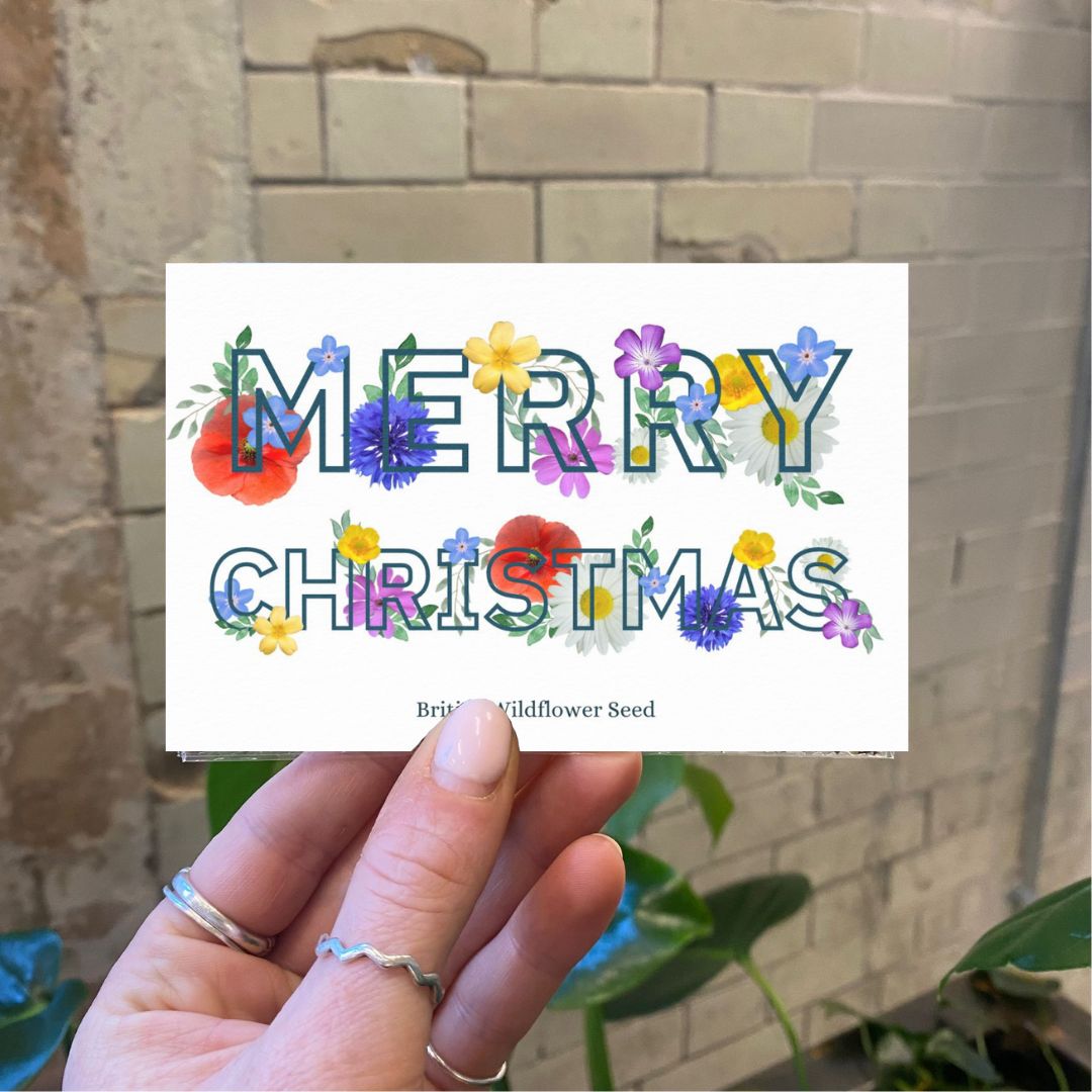 Christmas seed pocket cover: Merry Christmas