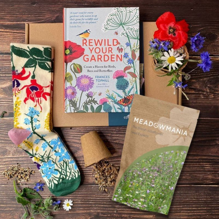 Wildflower Seeds, Nature Socks & Book Gift Box