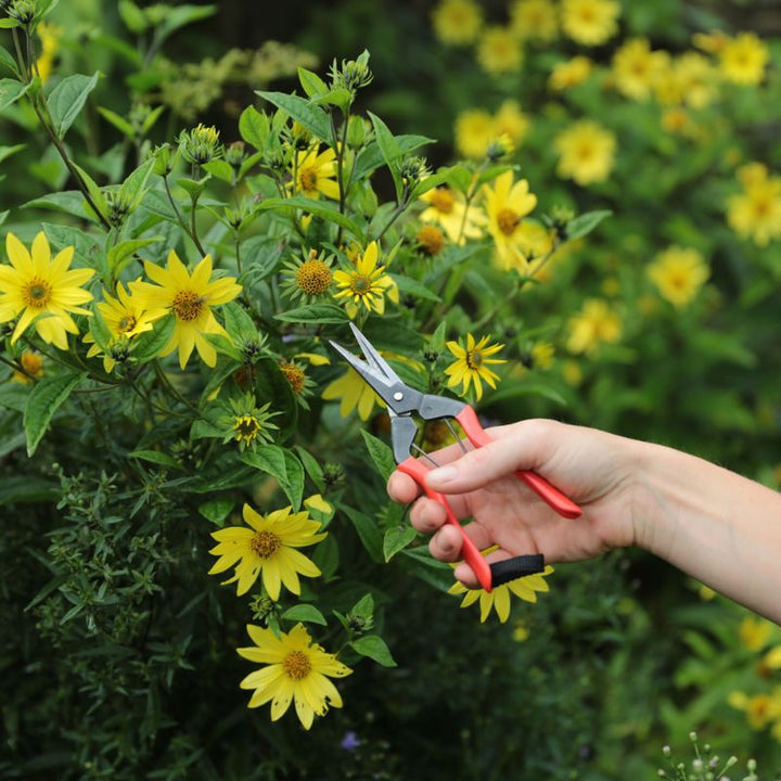 Niwaki Garden Snips | For slender stems, flowers, fruit & veg