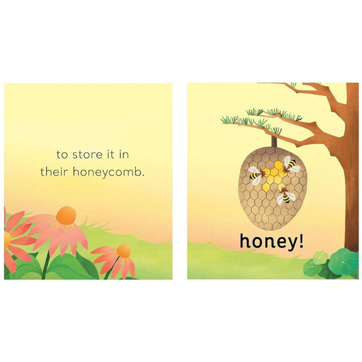 Pages of the book, showing simple illustrations of a beehive