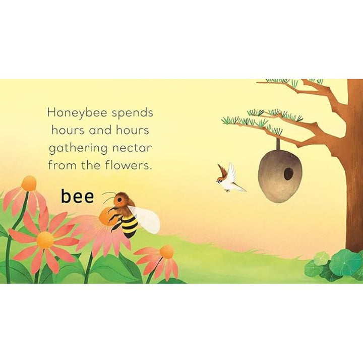 internal pages of the book showing a bee gathering nectar