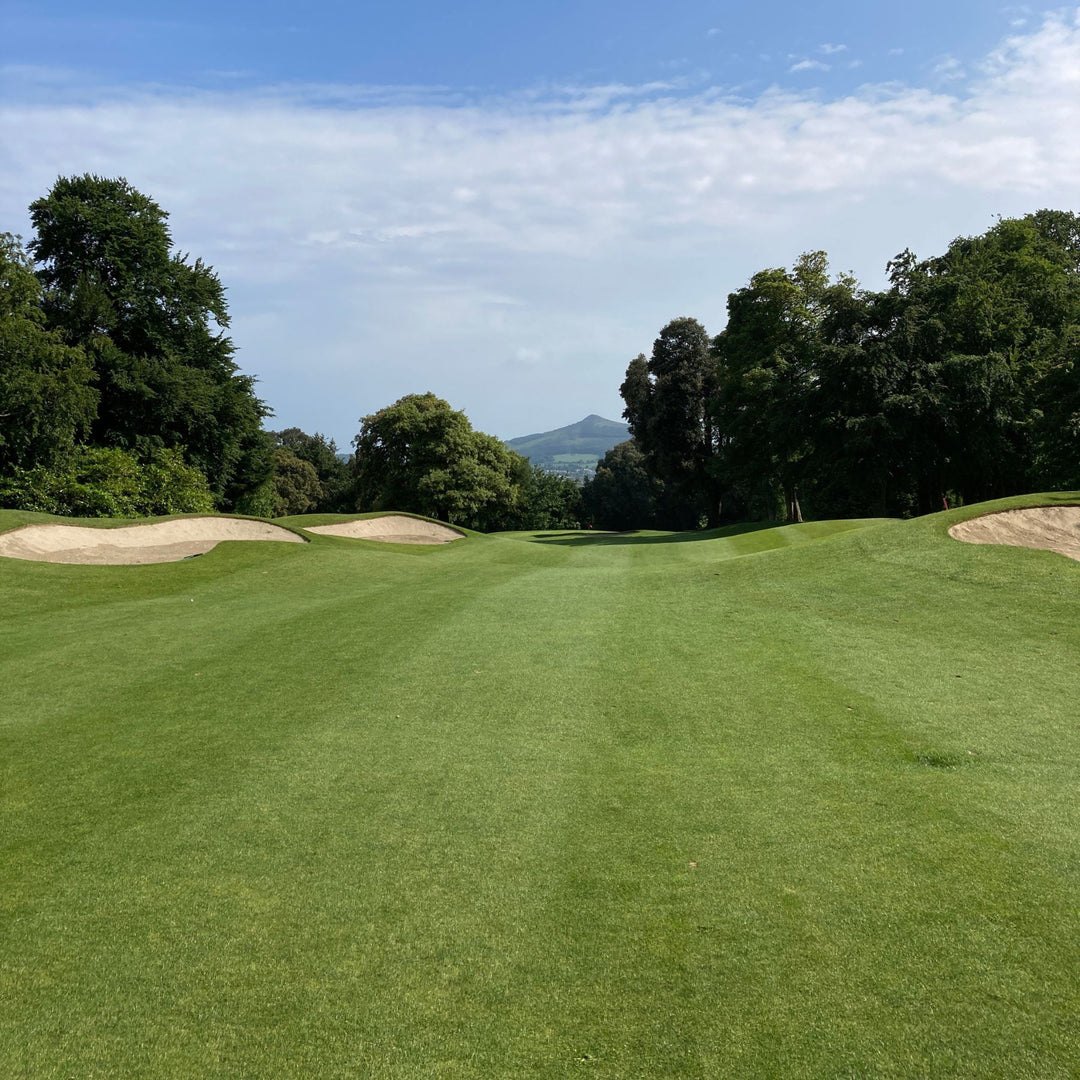 Grass Seed for Tennis Courts & Golf Fairways