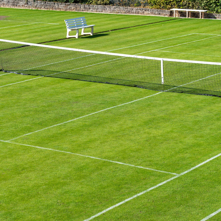Grass Seed for Tennis Courts & Golf Fairways