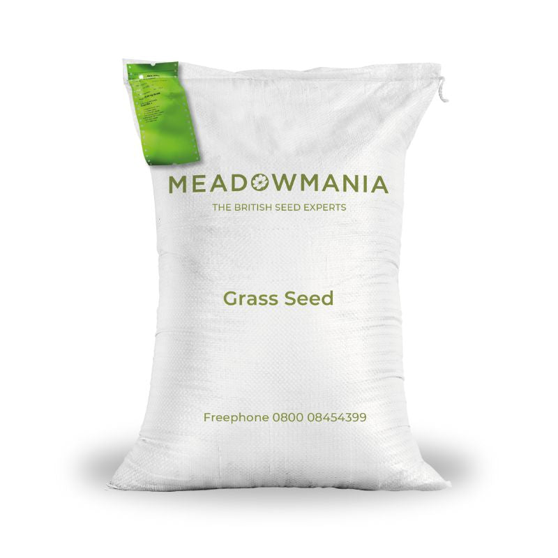 Grass Seed For Partial Shade