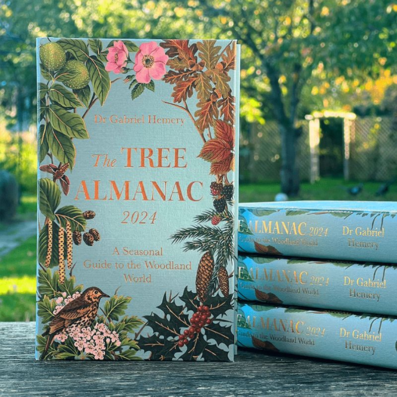 Photograph of 'The Tree Almanac 2024' next to a stack of more copies of the book on a garden table