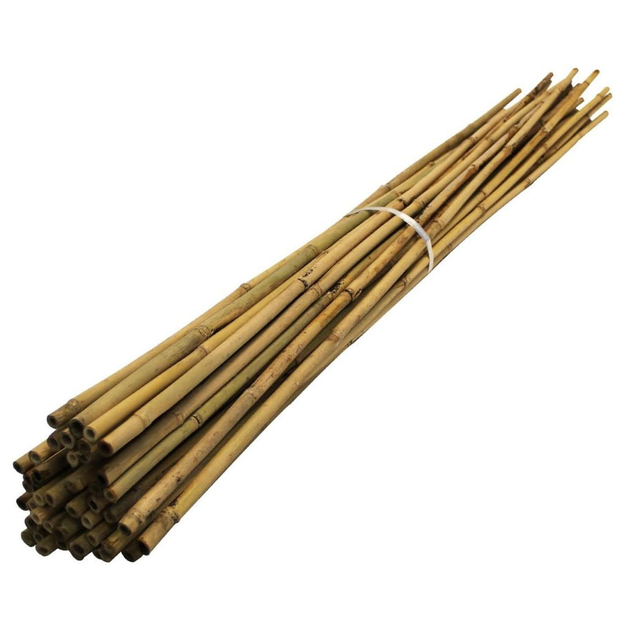 A bundle of bamboo canes for trees