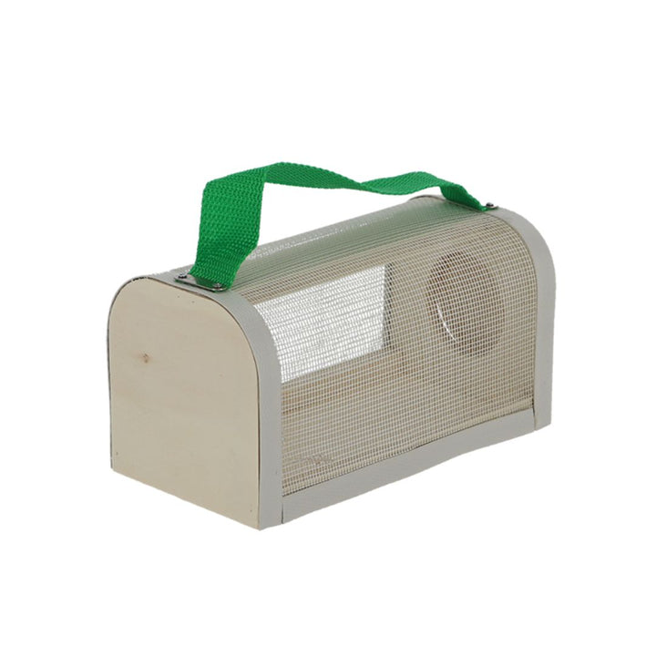 Wooden Insect Study Box