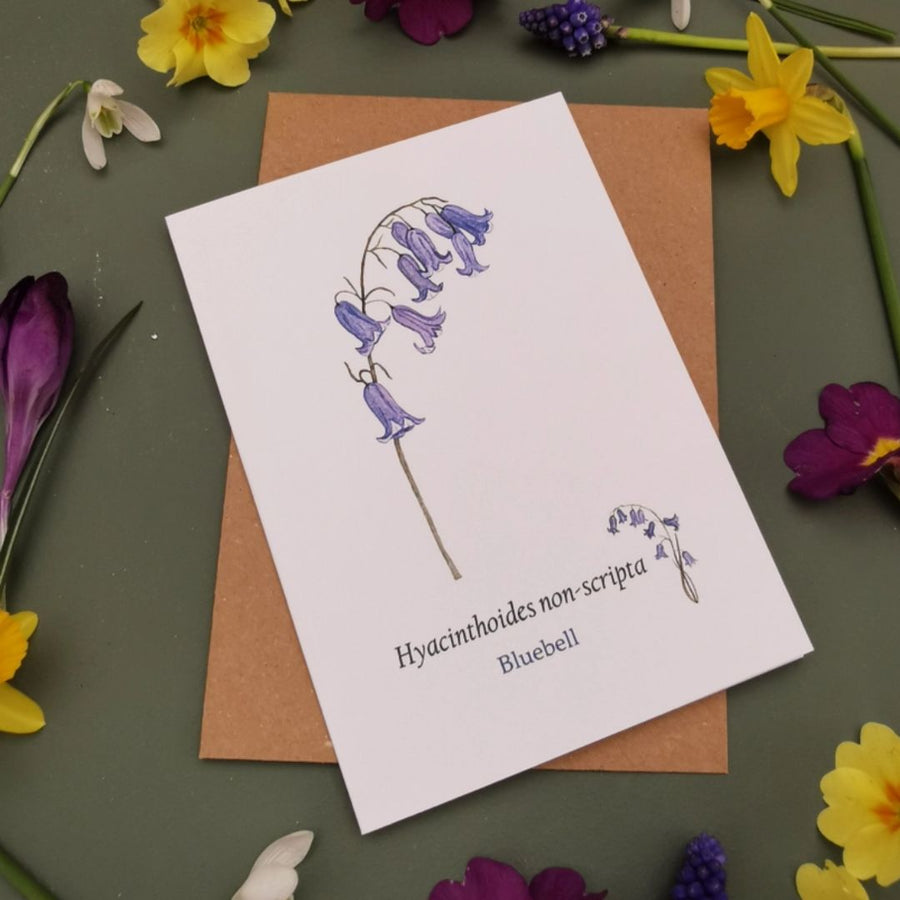 Greeting card with a watercolour illustration of a bluebell, with the words 'Hyacinthoides non-scripta Bluebell' underneath