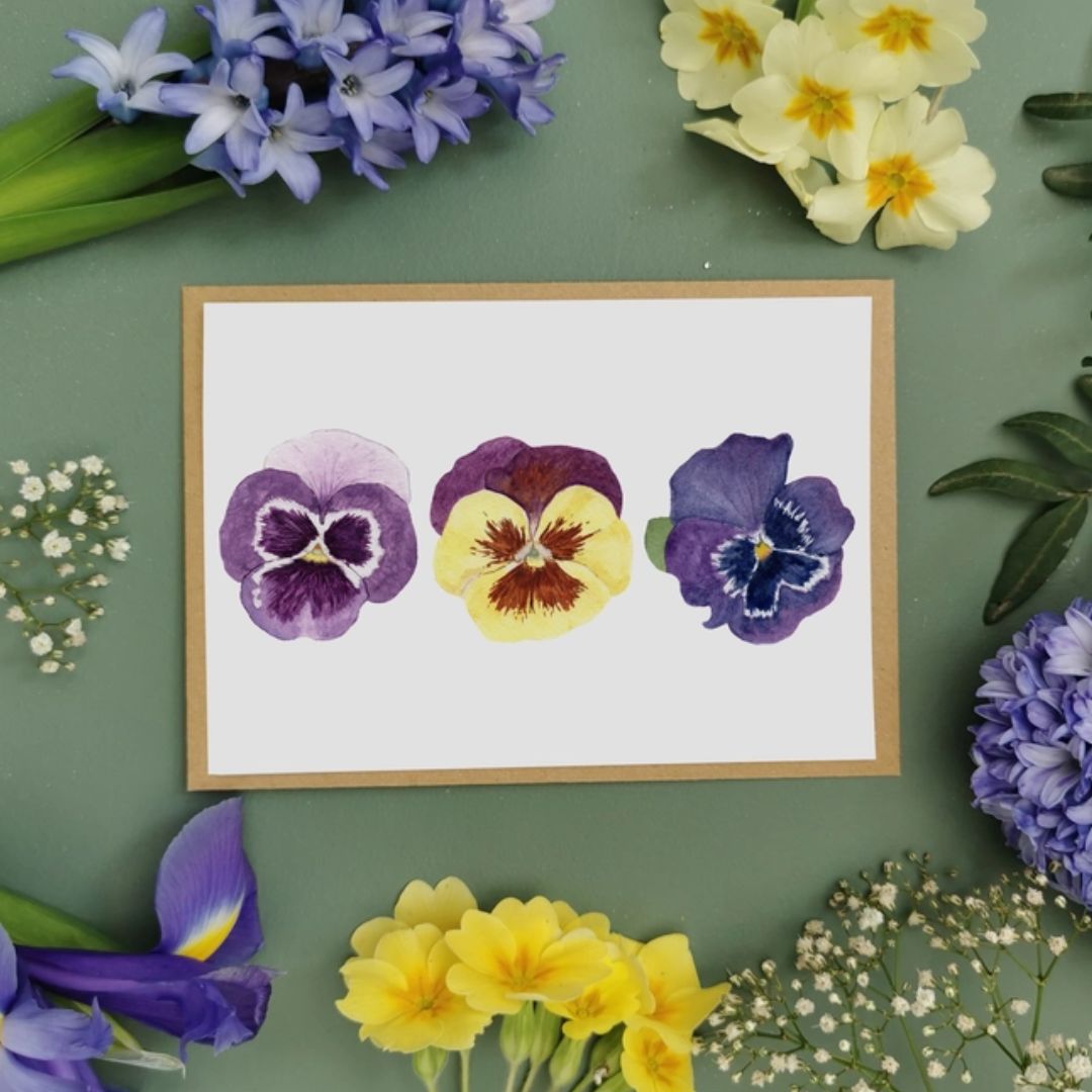 Greeting card showing three watercolour pansies