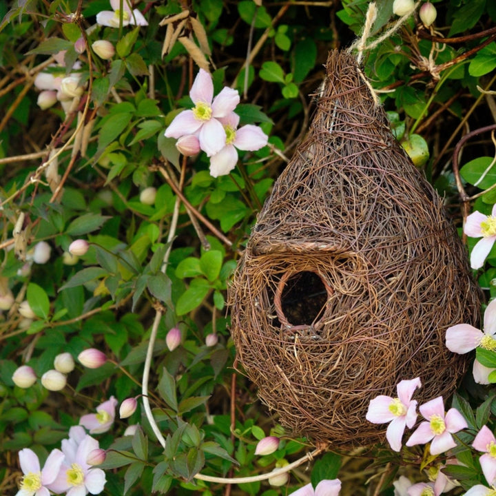 Giant roost nest pocket amongst flowers and leaves