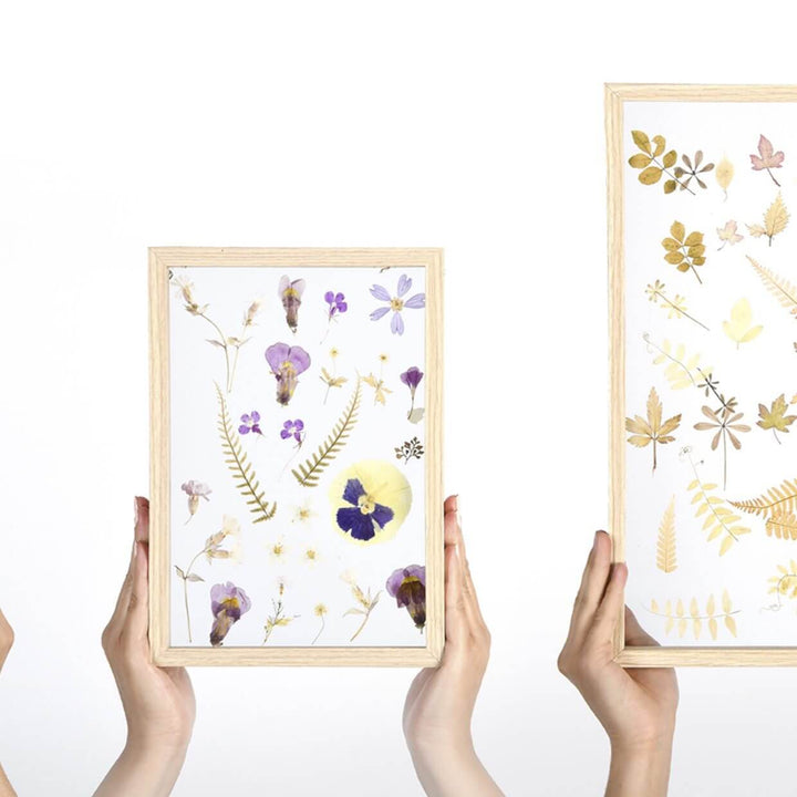 Pressed flowers, beautifully displayed in a transparent wooden frame