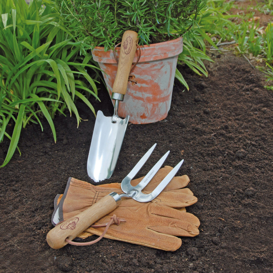 Gardening gloves and stainless steel tools on a prepared seed bed