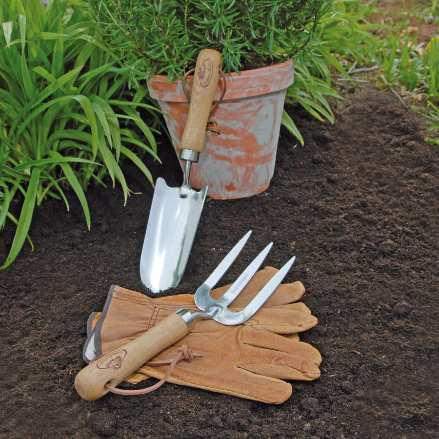 Gardening gloves and stainless steel tools on a prepared seed bed