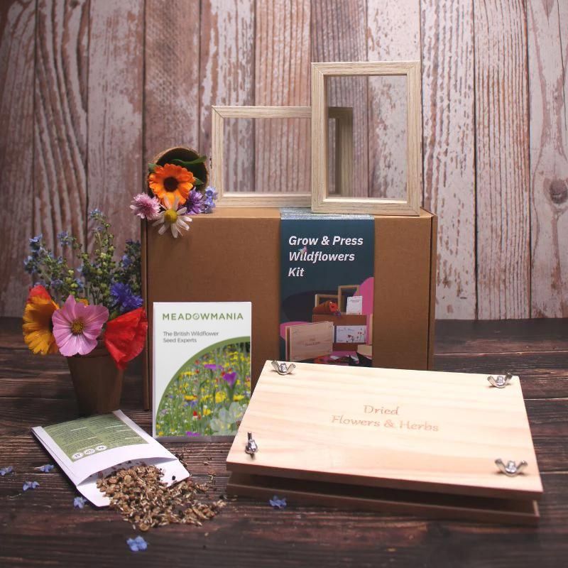 Display of the Grow & Press Wildflowers Kit, including the pressing equipment, packet of seed and two frames