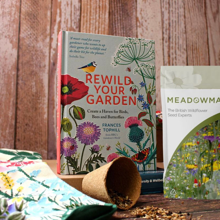 Bold printed socks, the book 'Rewild your Garden' and a packet of seeds displayed on a wooden table