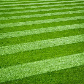 Amenity Lawn Grass Seed Mixture Sports Pitches