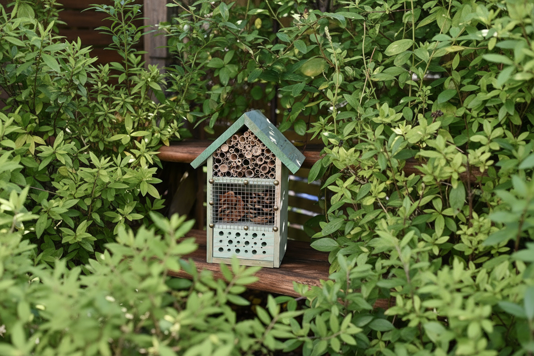 bird and insect homes