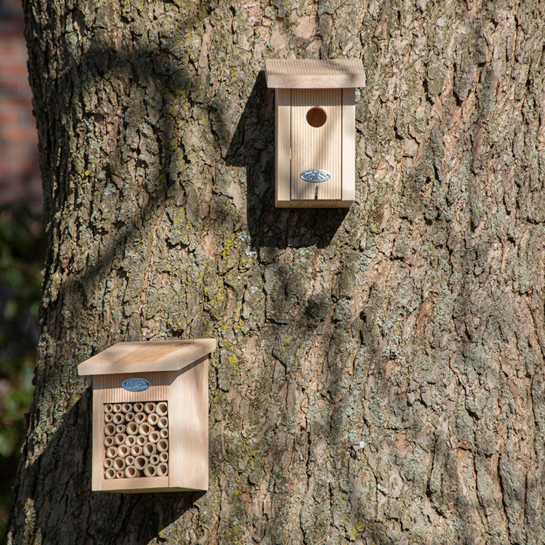 bird and insect homes