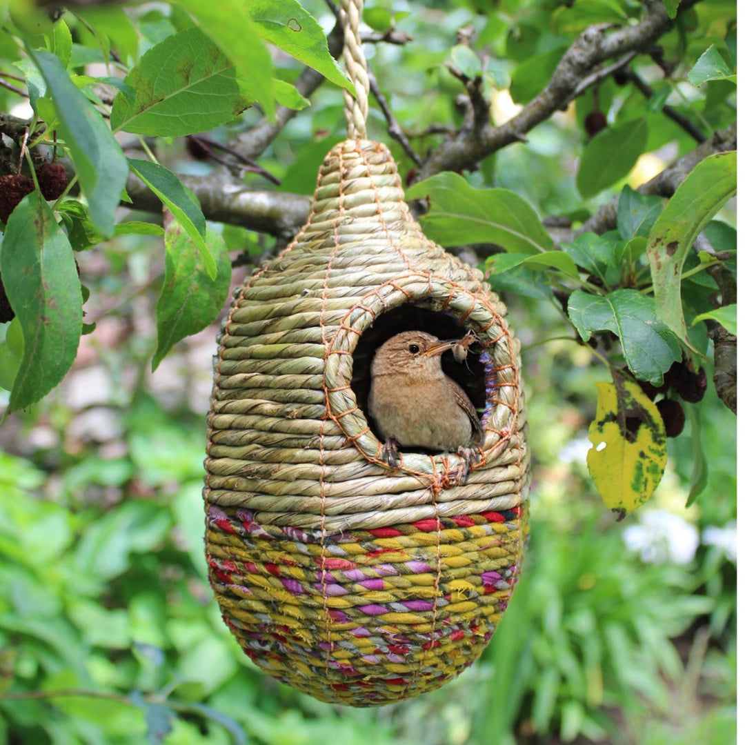 Eco Small Bird box – Meadowmania UK