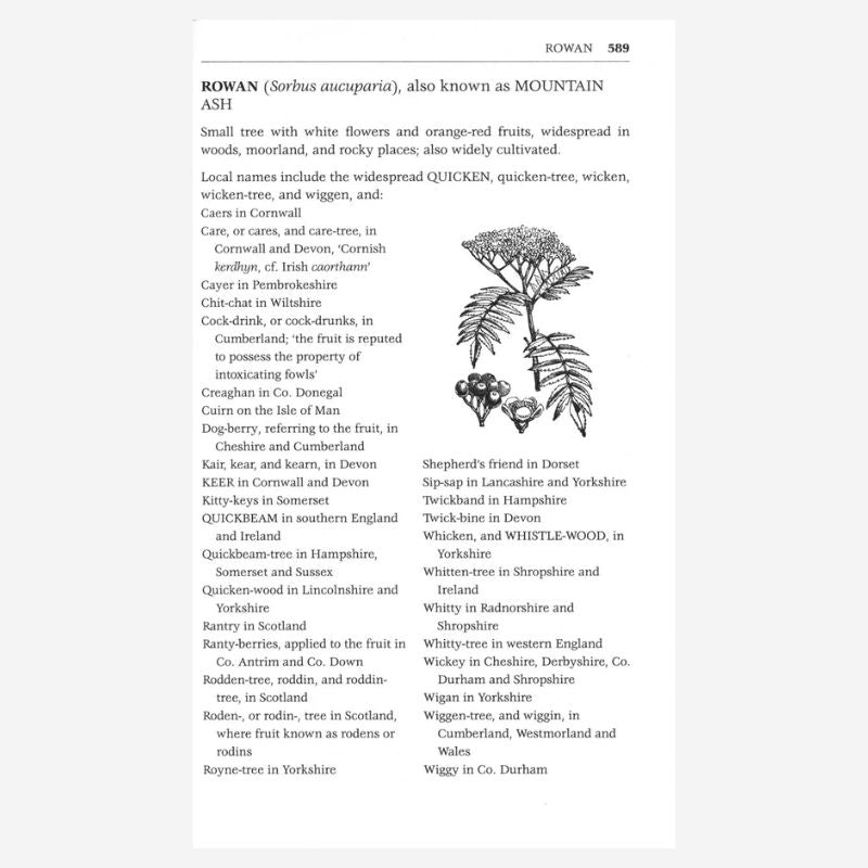 Vickery's Folk Flora by Roy Vickery