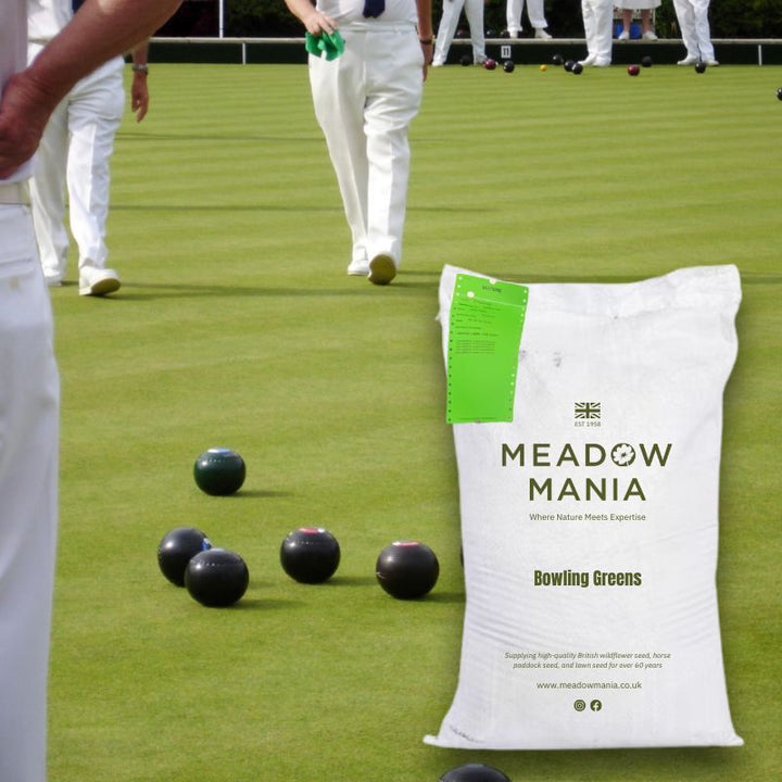 Grass Seed for Bowling Greens