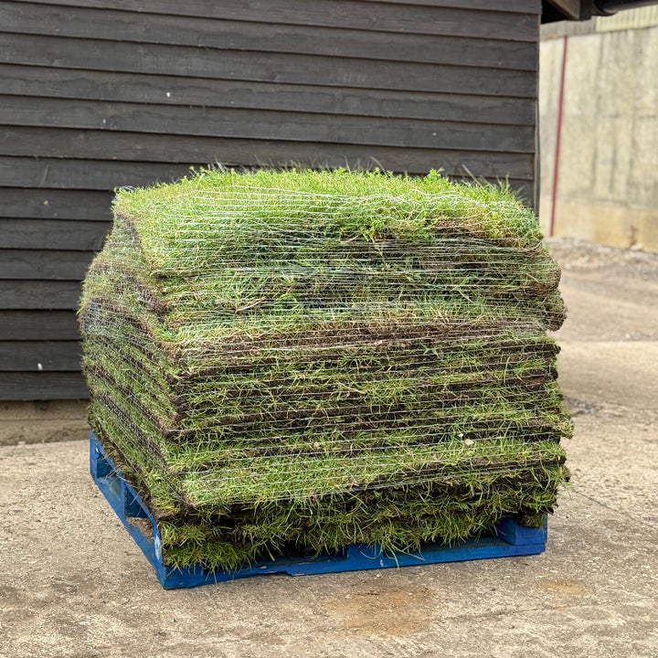 a pallet of wildflower urf