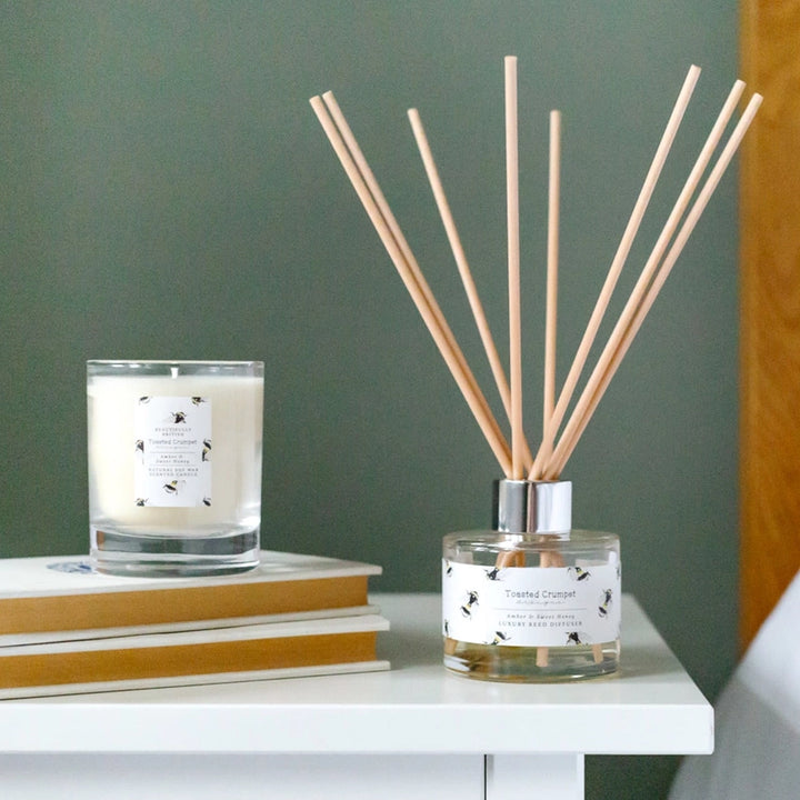 Amber & Sweet Honey Diffuser (Bee Collection)