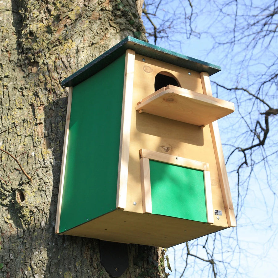 Barn Owl Box mounted on a tree