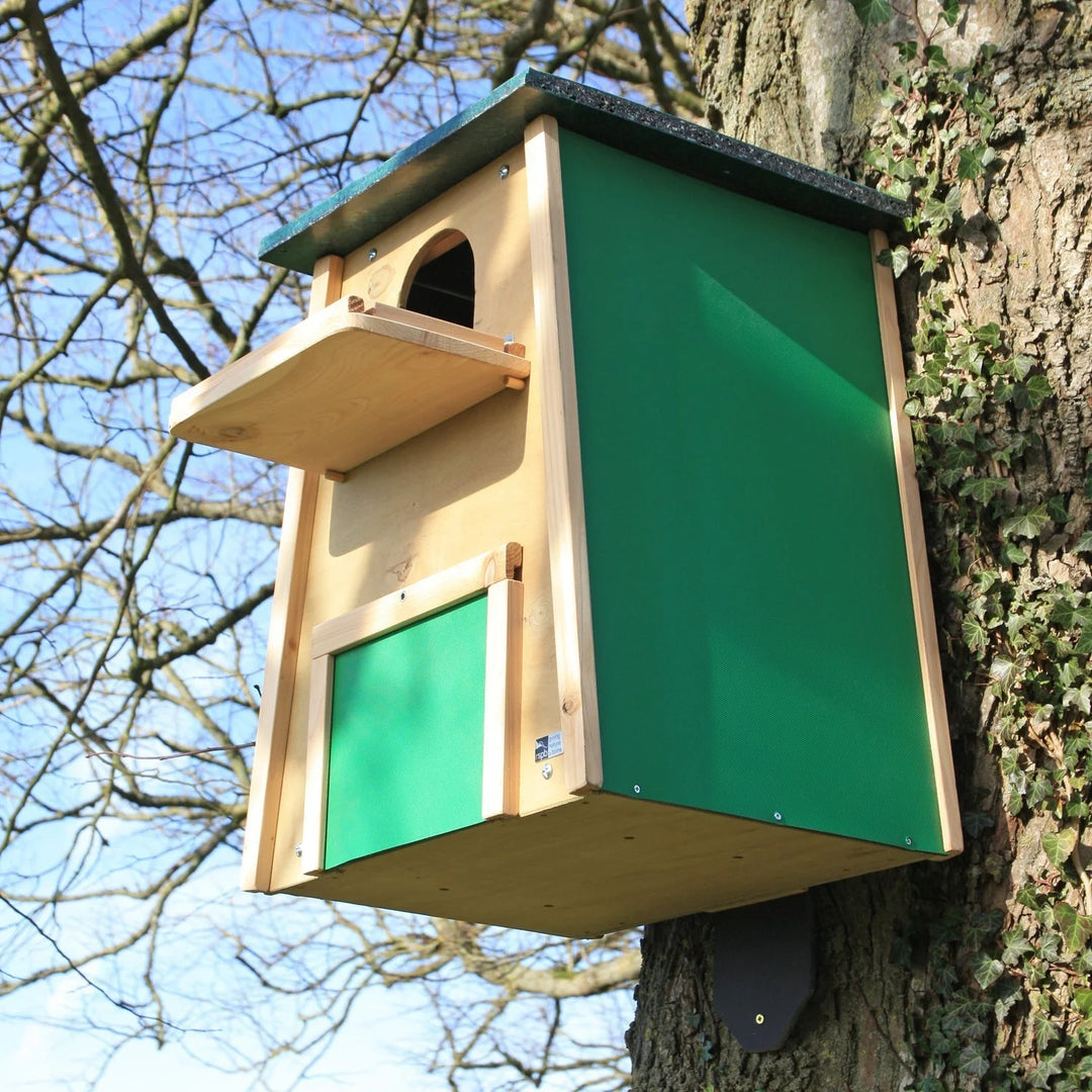 Side view of barn owl box