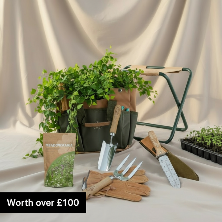 The Budding Gardener’s Gift Bundle