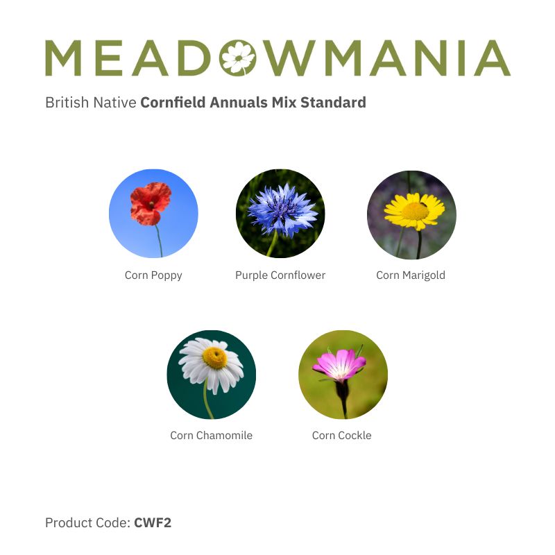 Cornfield Annual Mix Standard