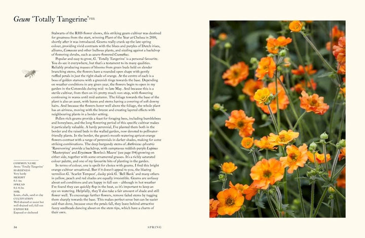 Page from inside the book titled 'Totally Tangerine'