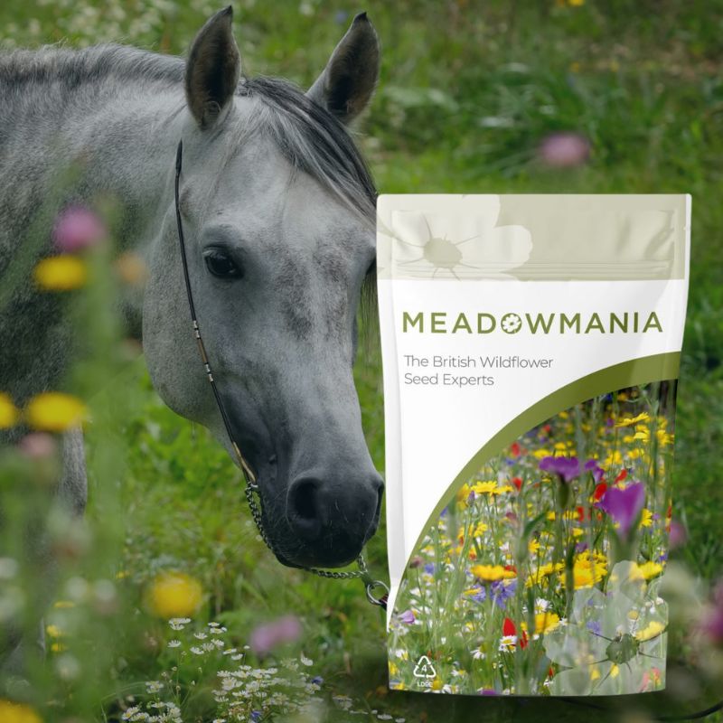 A grey horse behind an image of a bag of Meadowmania wildflower seed