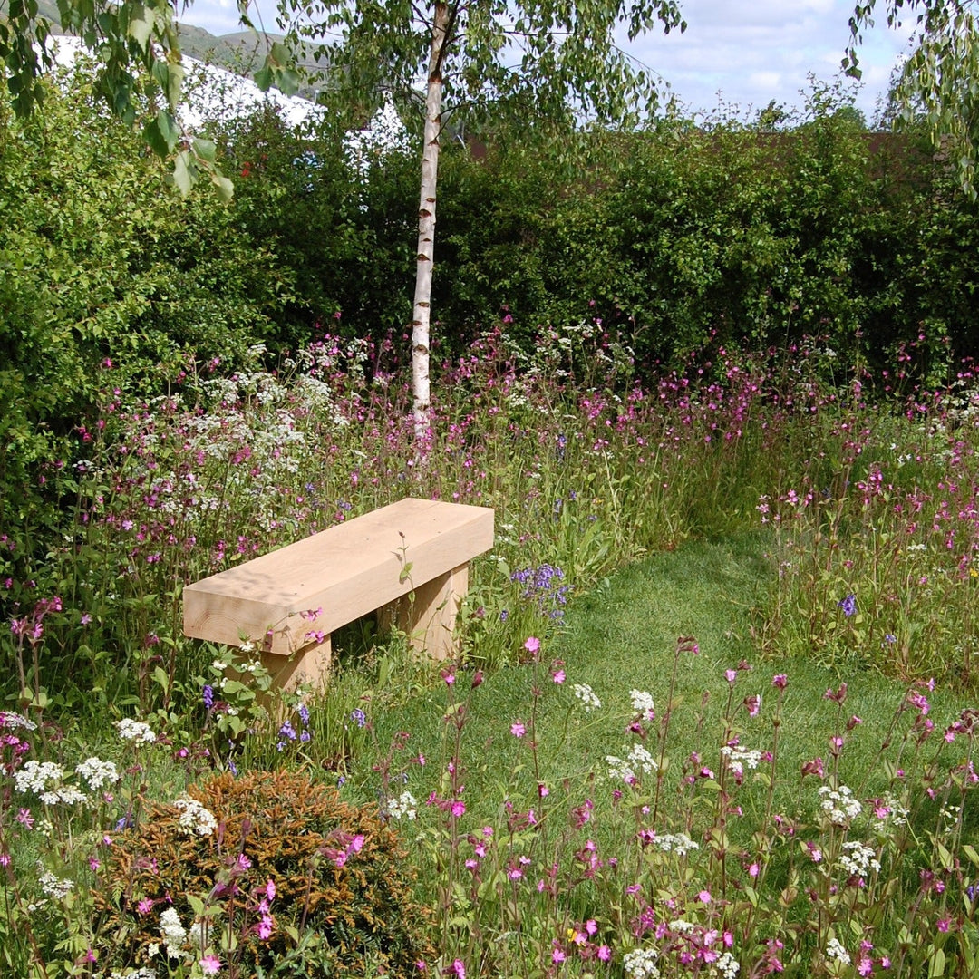 British Native General Purpose Wildflower Turf