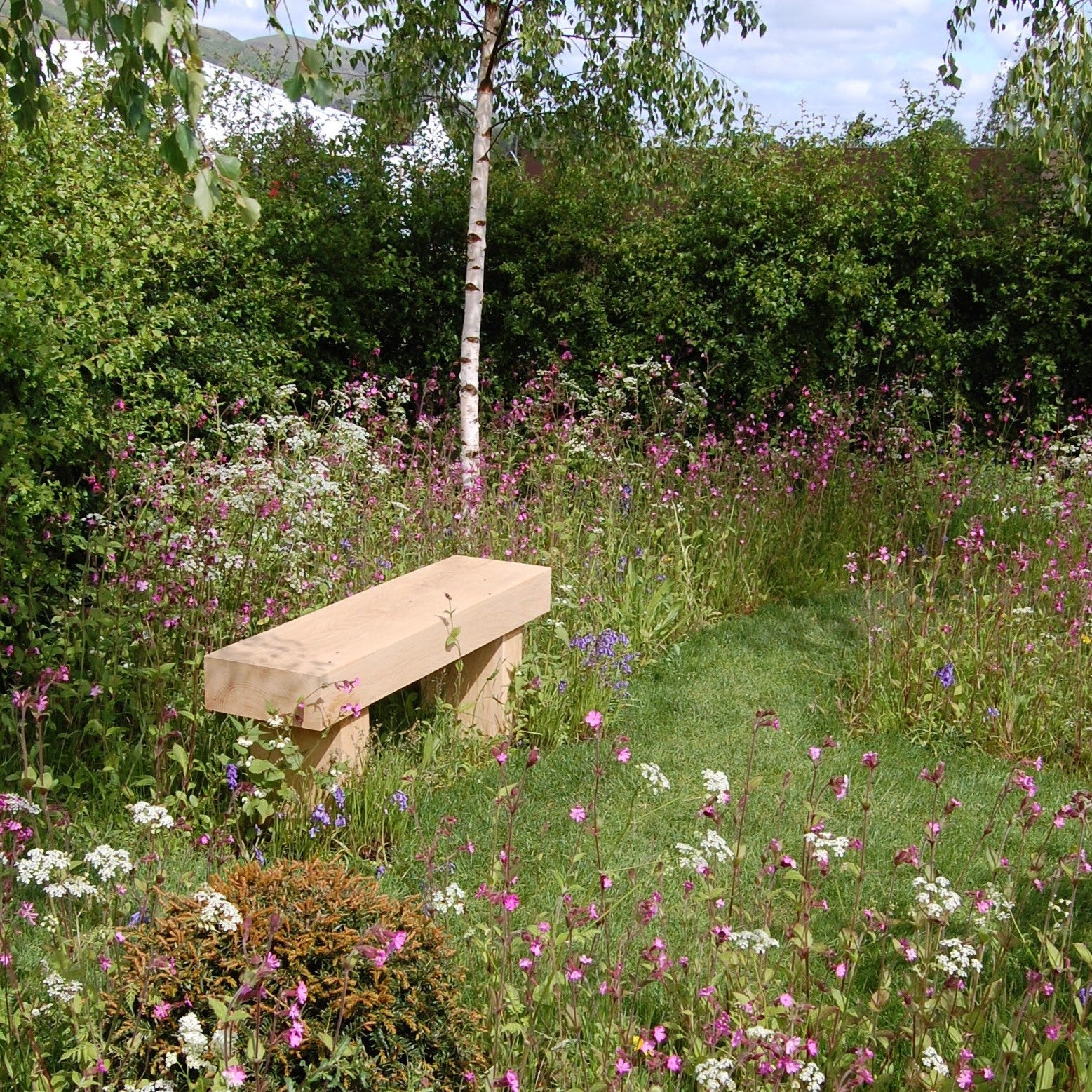 Wildflower Seeds, Plug Plants, Turf and Bulbs