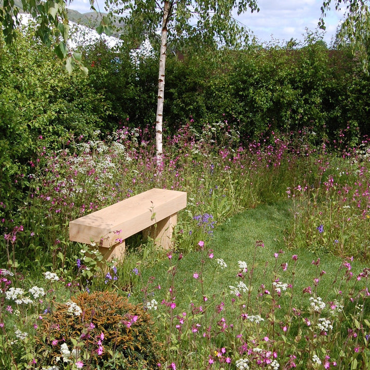 British Native General Purpose Wildflower Turf