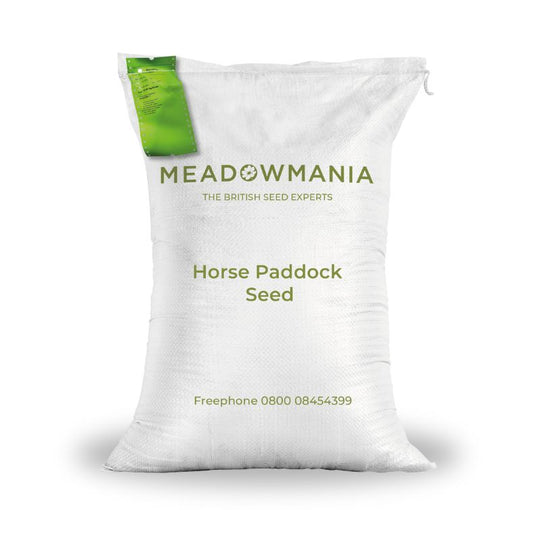 Grass Seed Horse Paddock Seed mix Long term Grazing Meadowmania UK