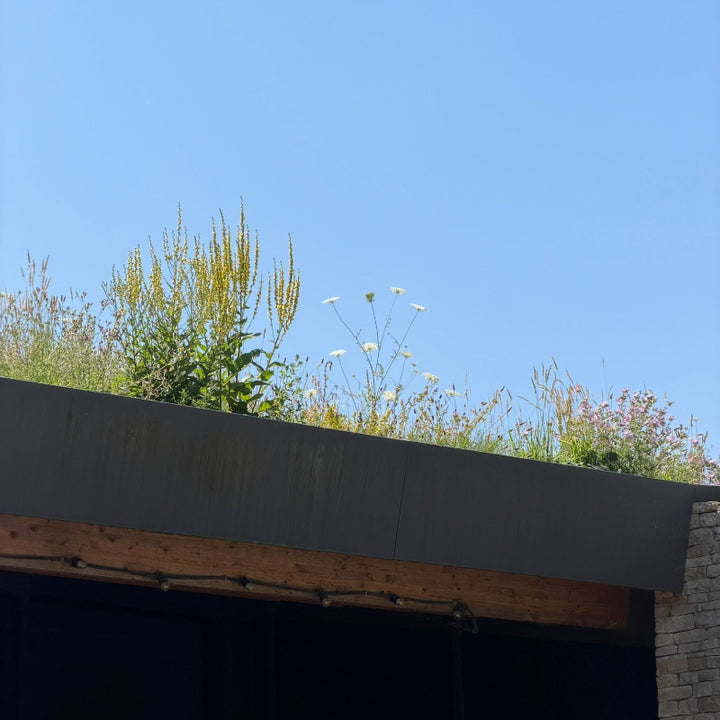 Green Roof created using wildflower turf mats