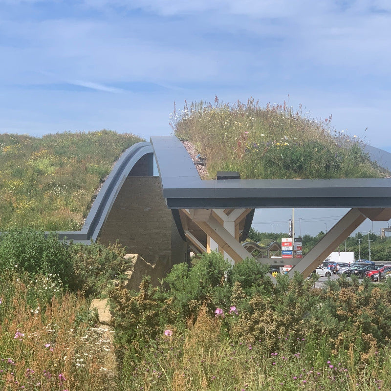 Modern building with green roof and surrounding natural landscape