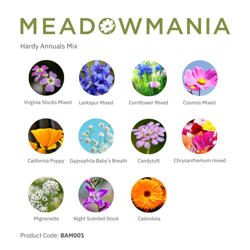 Hardy Annual 100% Wildflower Seed Mix