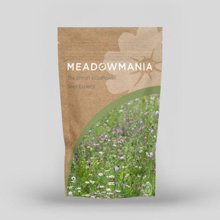 Native British Wildflower Seeds For Partial Shade