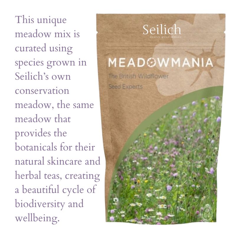 The Wildflower Ritual | Seilich X Meadowmania